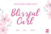 Blissful Curl Typerface, a Handwritten Font by Anomali Creatype (Thumbnail 1 of 10)