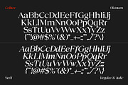 Colitez - Editorial Serif, a Serif Font by Oktnum Type Foundry (Thumbnail 14 of 15)