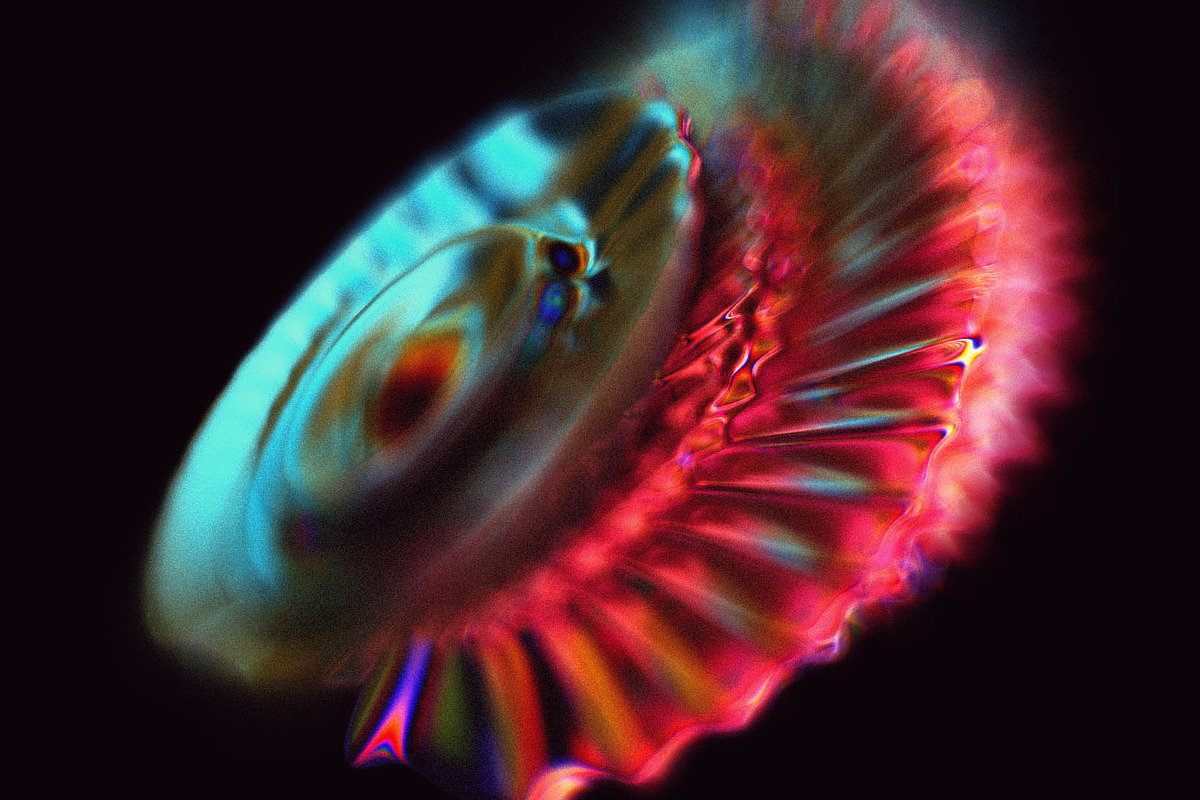 Fusion: Vibrant Abstraction, an Object Graphic by RuleByArt (Photo 11 of 14)