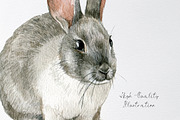 Watercolor white bunny clipart, an Animal Illustration by yana.fefelova (Thumbnail 3 of 4)