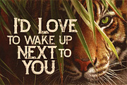 Zalora Typeface, a Font by Cruzine (Thumbnail 3 of 5)