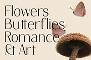 Elio & Oliver Ultra Light Sans Serif, a Sans Serif Font by SilverStag Type Foundry (Thumbnail 11 of 11)