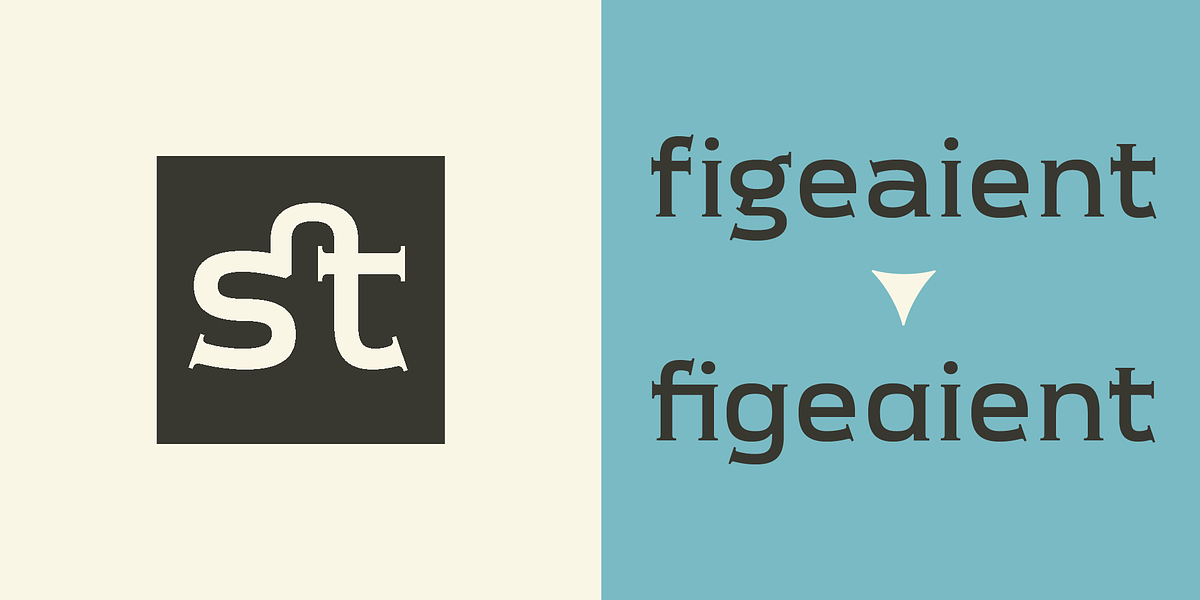 Meguro Serif, a Serif Font by GT&CANARY (Photo 12 of 12)