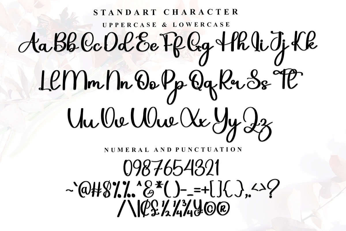 Holiday Signature, a Handwritten Font by InermediaSTUDIO (Photo 2 of 7)