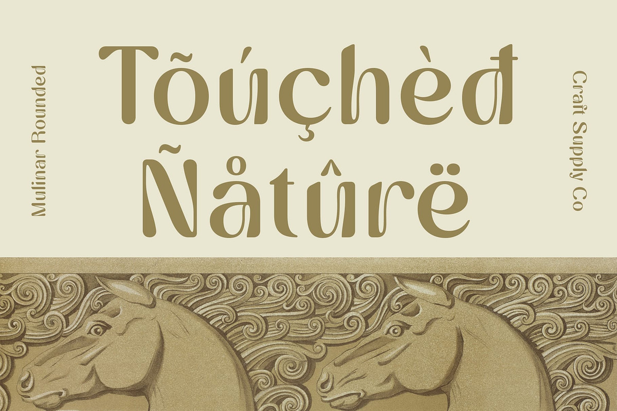 Mulinar Rounded, a Sans Serif Font by Craft Supply Co. (Photo 5 of 8)
