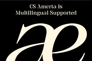 CS Amerta – Elegant Font, a Serif Font by Craft Supply Co. (Thumbnail 4 of 8)