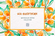 Sea-buckthorn, watercolor collection, an Illustration by Mallinka (Thumbnail 10 of 11)