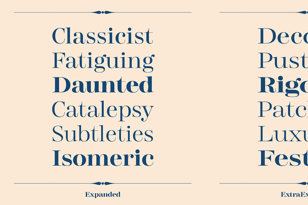 Gerard Display, a Serif Font by Rafael Jordan (Photo 11 of 12)