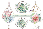 AMAZING SUCCULENTS Watercolor set, an Illustration by Lemaris (Thumbnail 4 of 9)