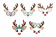 Reindeer Faces PNG, an Animal Illustration by Coralcreations (Thumbnail 3 of 3)