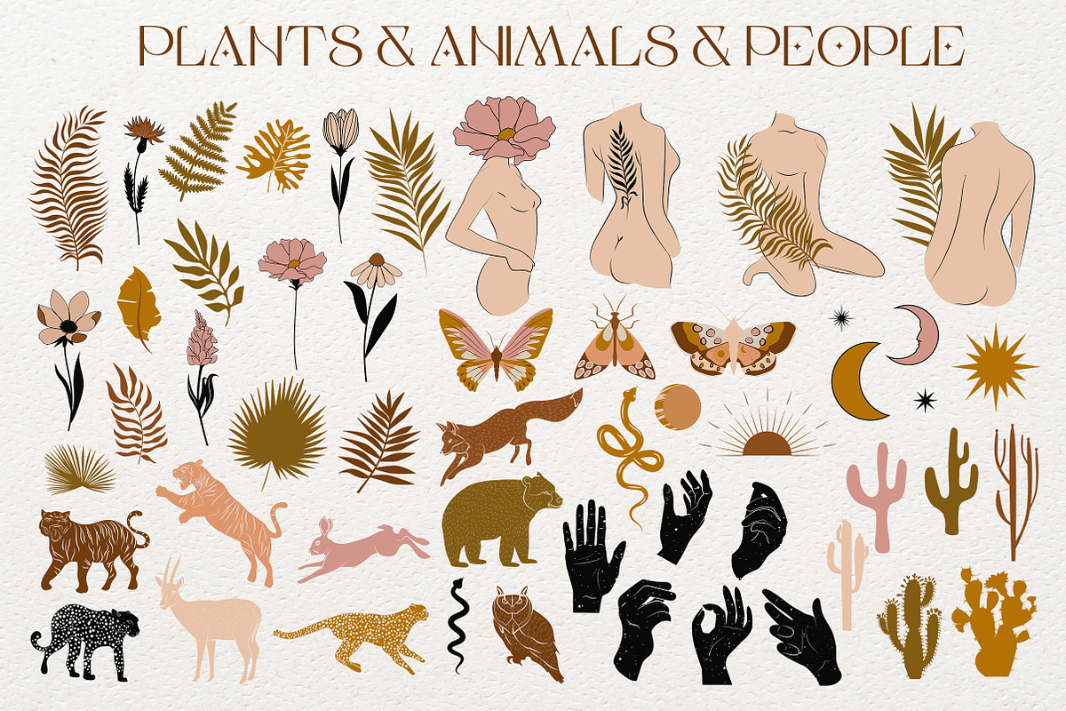 Modern Arts Poster Creator, an Animal Illustration by Mio Buono (Photo 3 of 18)