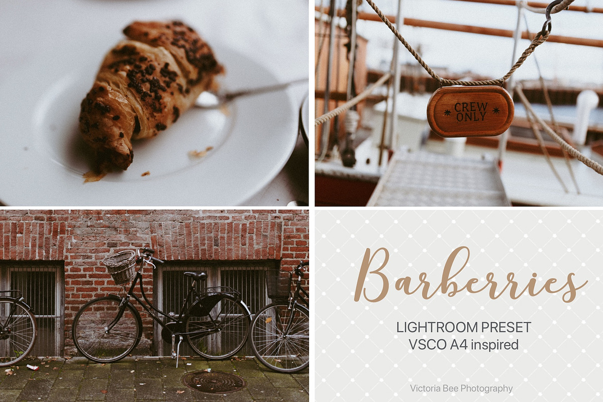 Desktop Lightroom Presets BARBERRY, an Action Add-On by Victoria Bee Presets (Photo 12 of 14)