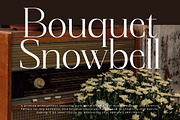 Magnetic Azuhster Minimalist Serif, a Serif Font by Letterena Studios (Thumbnail 10 of 15)