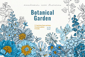vector botanical illustrations