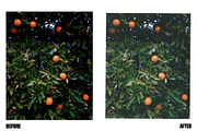 Instant Film Textures + Bonus Scans, a Graphic by coolranchcam (Thumbnail 6 of 7)