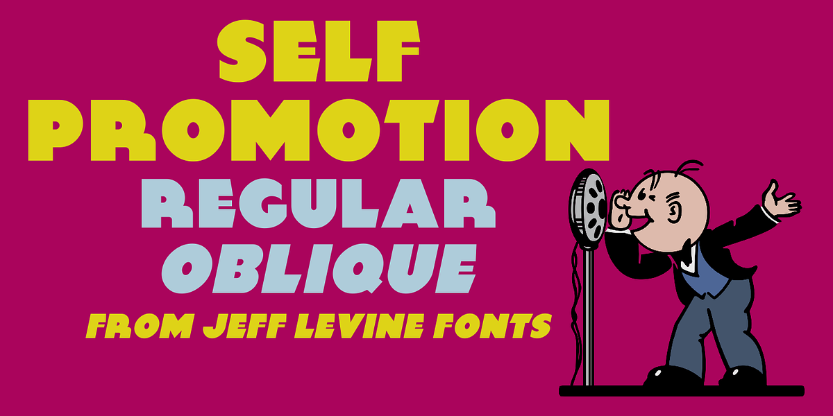 Self Promotion JNL, a Sans Serif Font by Jeff Levine Fonts (Photo 1 of 5)