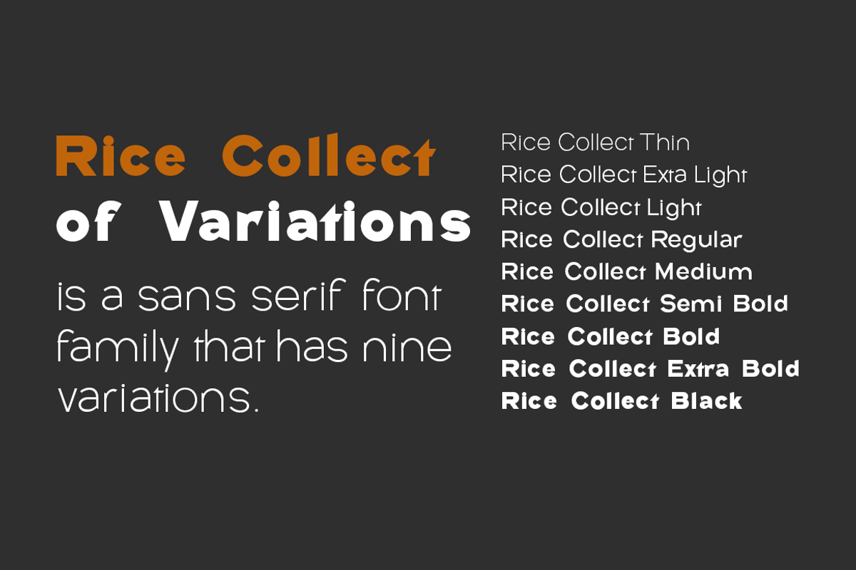 Rice Collect, a Sans Serif Font by groens (Photo 5 of 6)