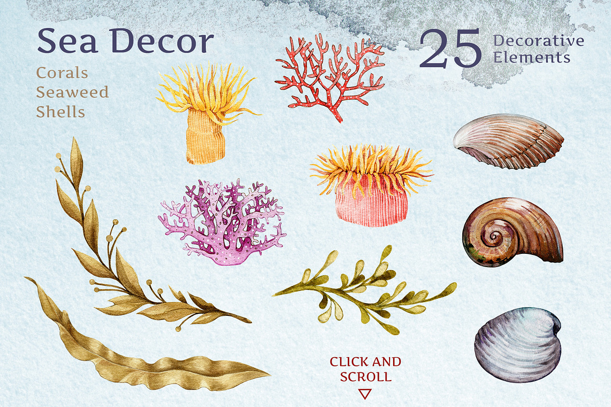Sea Life Watercolor Clipart Set, an Animal Illustration by AnitaPol (Photo 3 of 16)