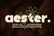 Boldeon Modern Typeface Font, a Sans Serif Font by Rasio Studio (Thumbnail 6 of 9)