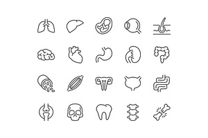 Line Organs Icons