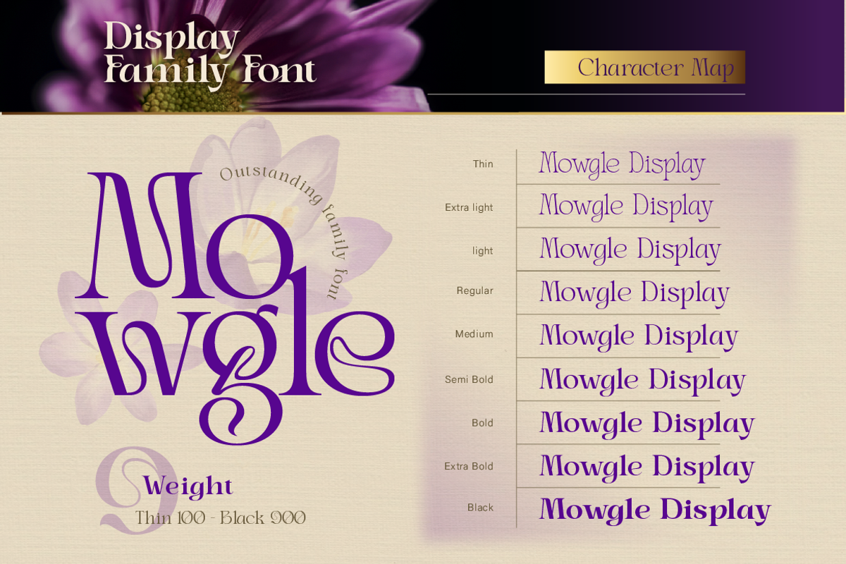 Mowgle, a Serif Font by Burntilldead (Photo 5 of 12)