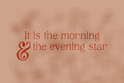 Macarism - A Handmade Serif Font, a Serif Font by Bouchard Designs (Thumbnail 4 of 6)