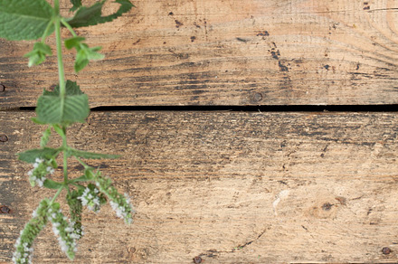 31 Bright Wood Photos preview 6