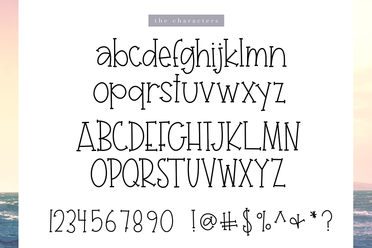 Seagull - A Handwritten Font preview 8