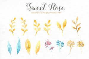 Sweet Rose Watercolor Clipart