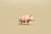Low Poly Forest Animals Pack 1, an Animal 3D Model by Anton Moek (Thumbnail 12 of 12)