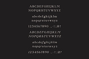 Annex — Display Font, a Serif Font by Spence Type (Thumbnail 6 of 6)