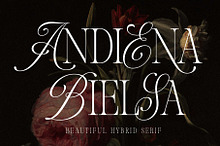 Andiena Bielsa - Hybrid Serif