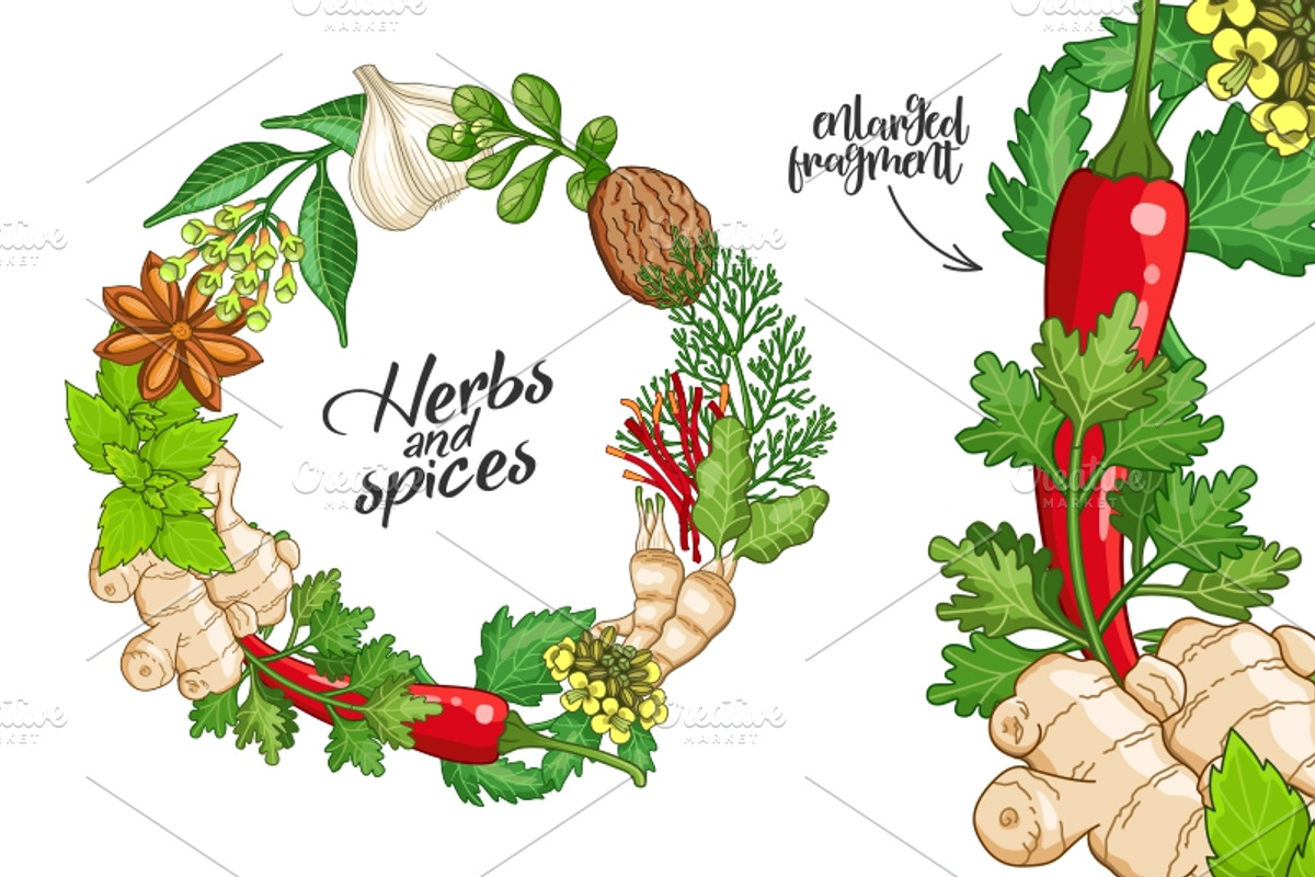 Hot spices and herbs templates, a Food Illustration by Primula`s shop (Photo 2 of 4)