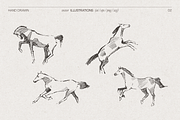 Galloping Horse Sketch, an Animal Illustration by TheMountBirdStudio (Thumbnail 3 of 6)