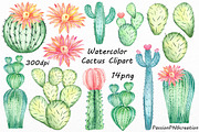 Watercolor Cactus Clipart, an Illustration by PassionPNGcreation (Thumbnail 1 of 3)