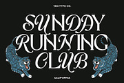 TAN - CALIFORNIA, a Serif Font by TanType (Thumbnail 2 of 16)
