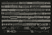 MTC Tailrose - A Quirk Serif Font, a Serif Font by Martype (Thumbnail 11 of 12)