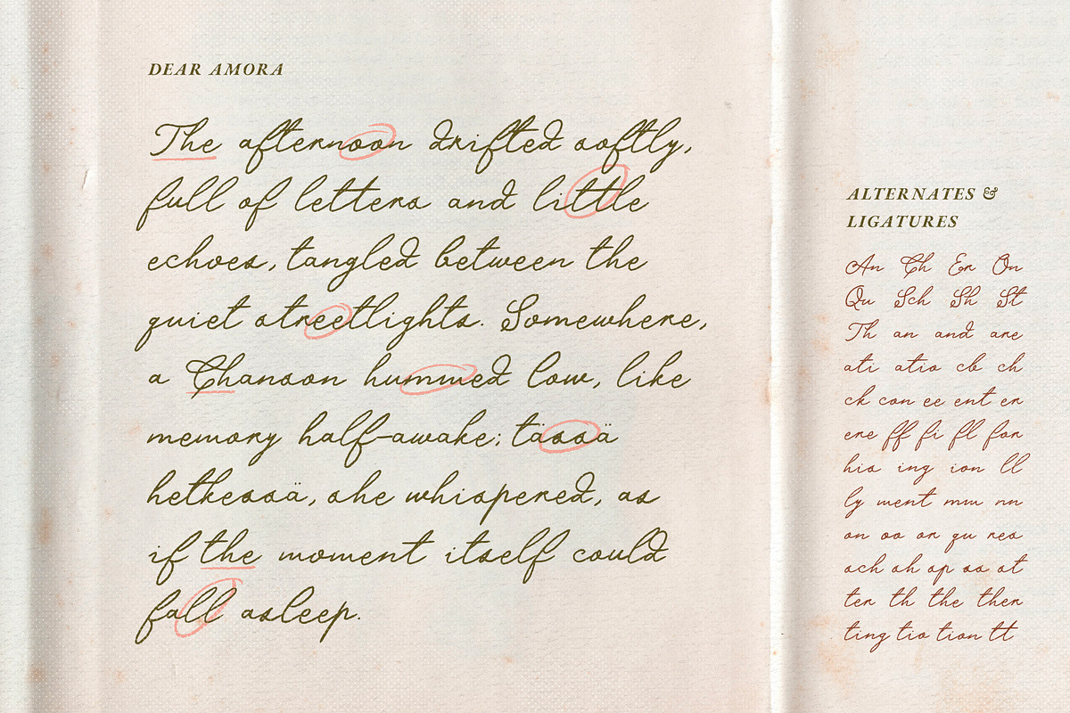 Dear Amora Handwritten Script, a Handwritten Font by Perplexitics (Photo 11 of 12)