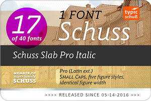 SchussSlabProItalic No.17 1 Font