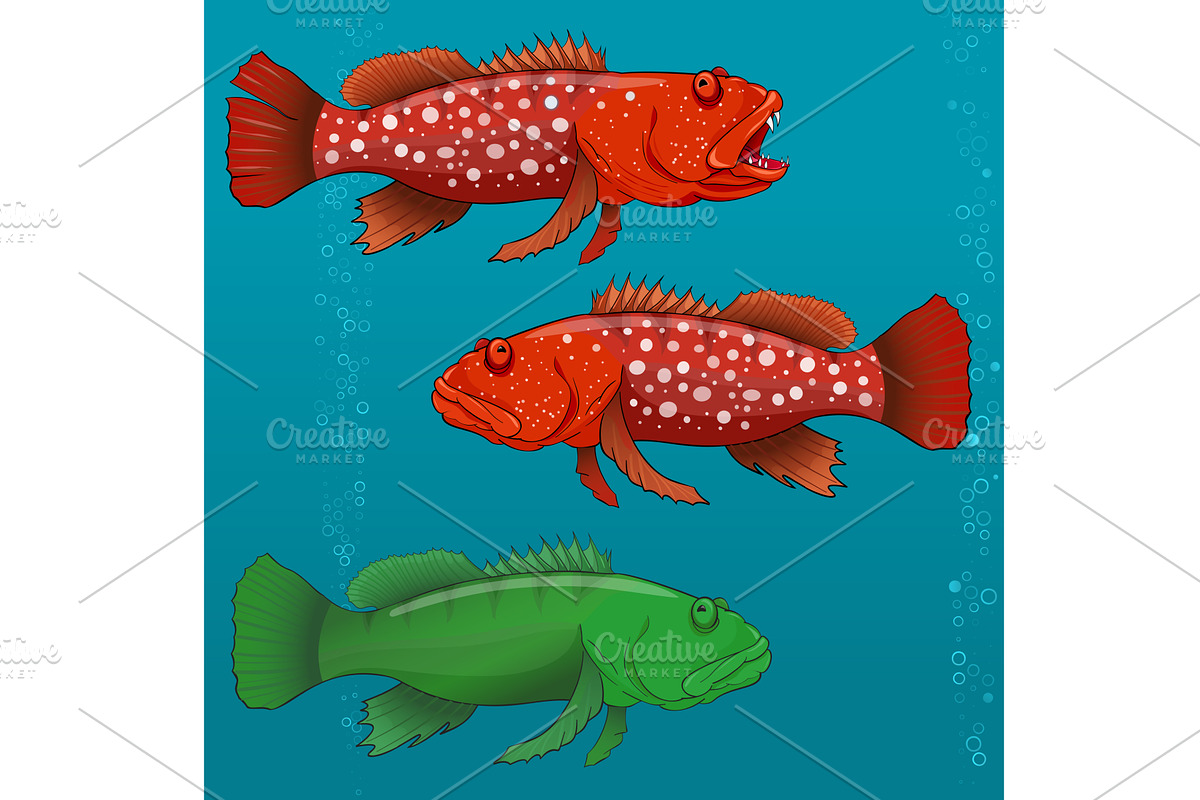 Common Harlequin Fish, an Animal Illustration by piter.goskov