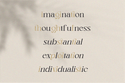 Nagishe Soinetha Moderen & Elegance, a Serif Font by BOOSH Studio (Thumbnail 12 of 13)