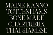 CS Anstey – Elegant Serif Font, a Serif Font by Craft Supply Co. (Thumbnail 4 of 8)
