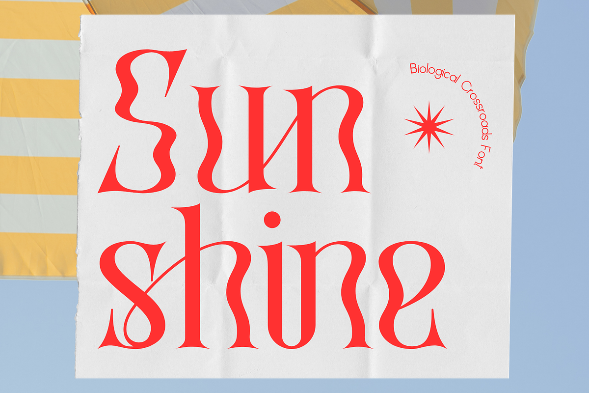 Biological Crossroads - Psychedelic, a Serif Font by 177Studio (Photo 2 of 8)
