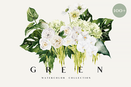 SALE! GREEN-watercolor collection, an Illustration by Youksy