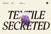 CS Quiles Drawn, a Serif Font by Craft Supply Co. (Thumbnail 6 of 8)