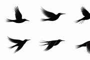 Flying Bird Silhouette Bundle, an Illustration by hafijul (Thumbnail 7 of 10)