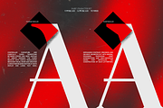 TBJ One Of A Kind Serif Font Family, a Serif Font by Taboja Studio (Thumbnail 8 of 21)
