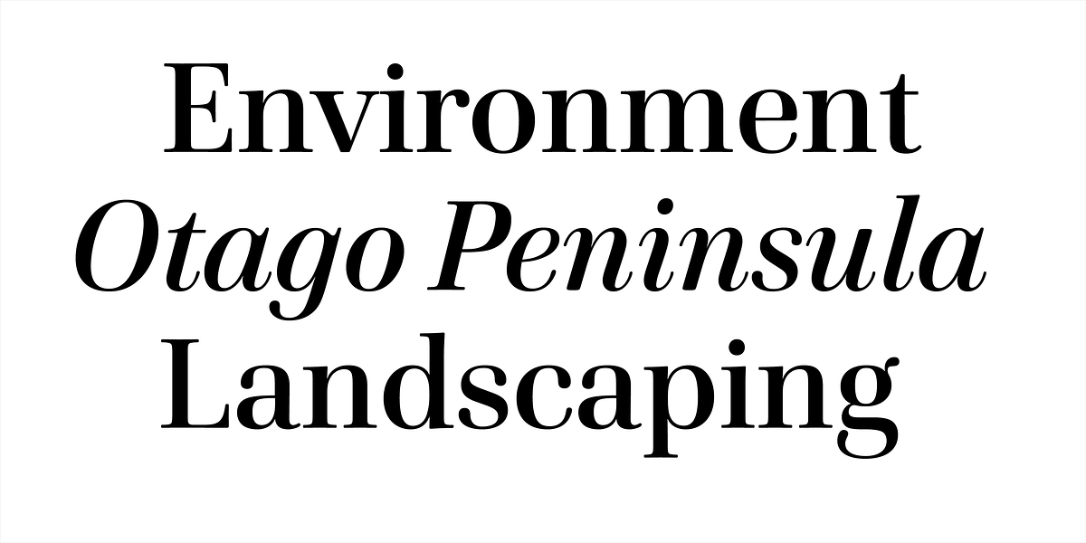Cardillac Text, a Serif Font by Hoftype (Photo 8 of 15)
