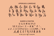 Pumpkin | Script font, a Script Font by Scratchones (Thumbnail 6 of 8)