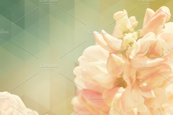 Geometric flowers I preview 3